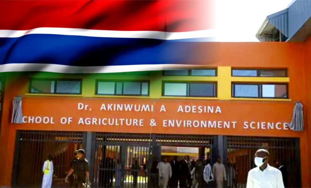 Screenshot 2026-01-03 at 10-24-53 IMG-20260101-WA0188-1024x6822-1.jpg (JPEG Image 800 × 494 pixels)