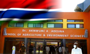 Screenshot 2026-01-03 at 10-24-53 IMG-20260101-WA0188-1024x6822-1.jpg (JPEG Image 800 × 494 pixels)