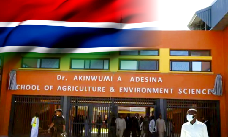 Screenshot 2026-01-03 at 10-24-53 IMG-20260101-WA0188-1024x6822-1.jpg (JPEG Image 800 × 494 pixels)