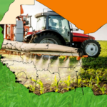 The Meltwater Entrepreneurial School of Technology (MEST Africa) Unveils AgriTech Report Mapping the Trends, Innovators, and Investment Opportunities Shaping the Future of West African Agriculture