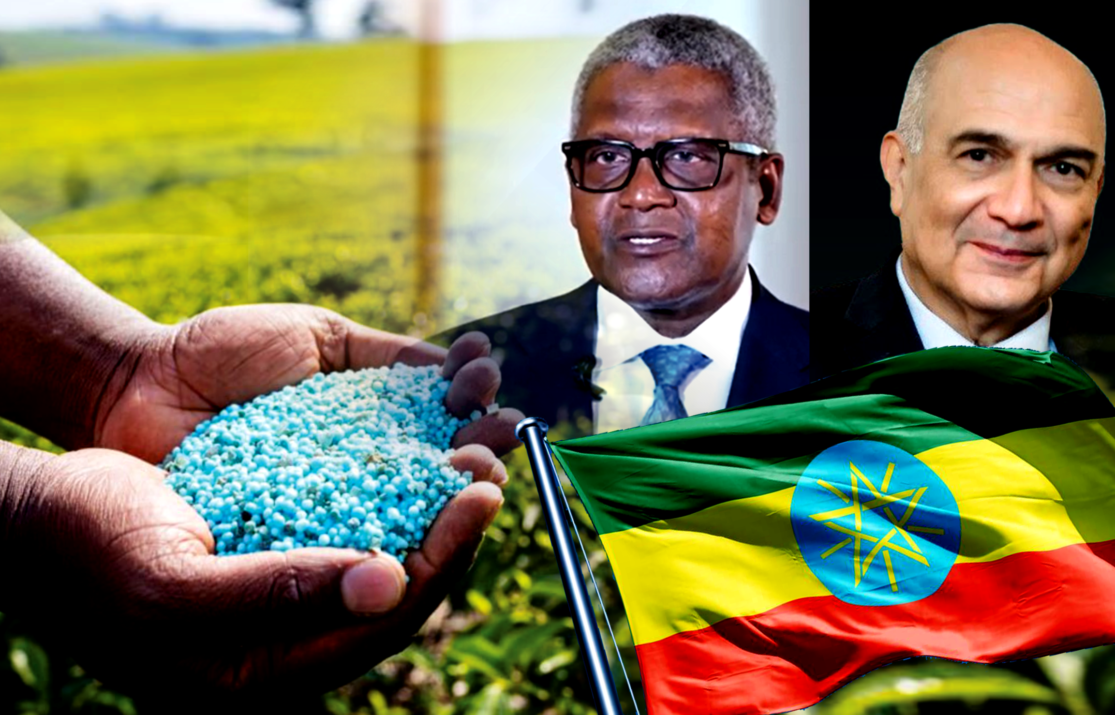 Ethiopia’s Fertilizer Heartland Flock a Looming Clash of Business Titans
