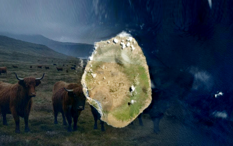 amsterdamislandcattle2