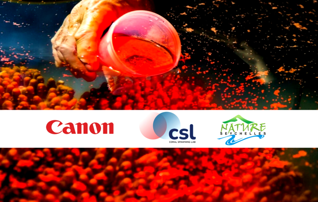 canon_sprawningcoralbreeding#6