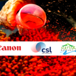 Pioneering Coral Breeding Lab Opens, Boosting Reef Regeneration Efforts