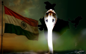 indiasnakeattacks