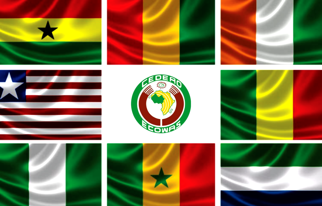 ECOWAS Engages Energy China Int’l in Strategic Tie to Bridge West Africa’s Power Deficit