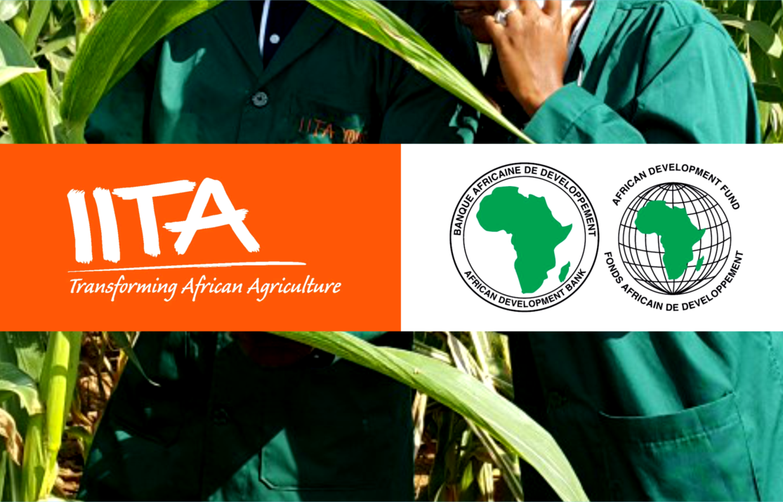 African Development Bank Group awards $16.6 million grant to International Institute of Tropical Agriculture (IITA) to scale agricultural technologies in Africa