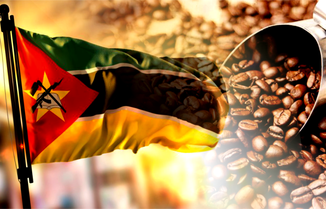 Mozambique’s Chimanimani Coffee on the Global Map, an Emerging Story from Mountain Slopes