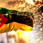 Mozambique’s Chimanimani Coffee on the Global Map, an Emerging Story from Mountain Slopes