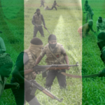 Insurgency is Fast Reshaping Nigeria’s Agricultural Map