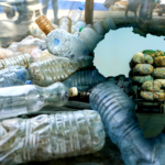 Africa’s Waste Recycling Revolution, Breeding a Circular New Economy