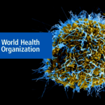WHO Declares Bundibugyo Ebola Outbreak in DR Congo and Uganda, a Global Health Emergency