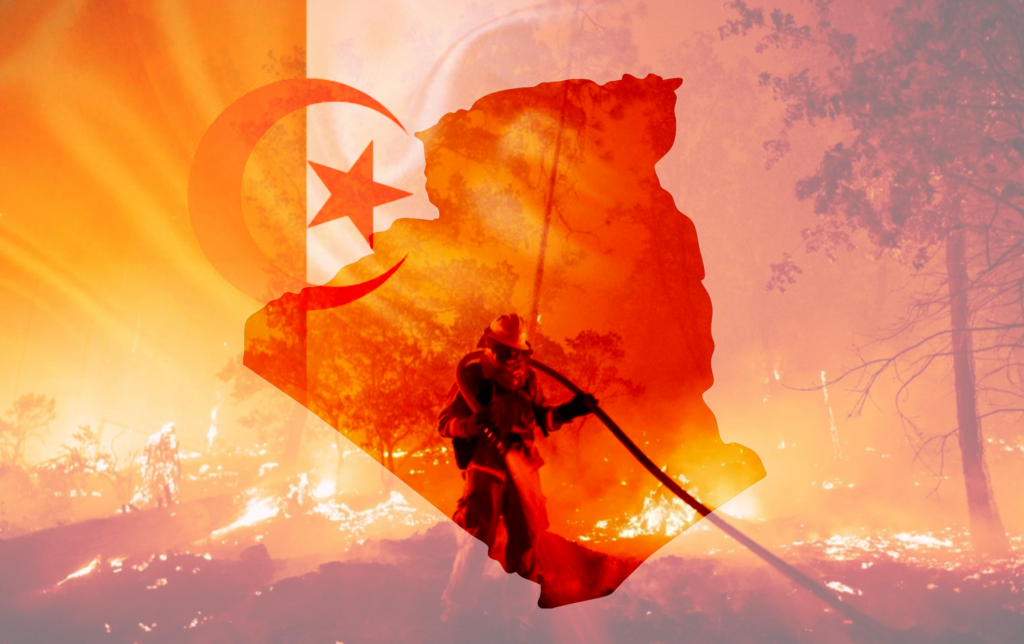 ##algeriawildfires0