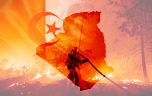 ##algeriawildfires0