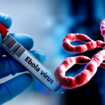 Ebola Crisis, Grim Milestone as Death Toll Surpasses 1000 in DRC’s Fastest-Growing Outbreak