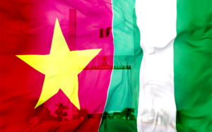 ##nigviet0