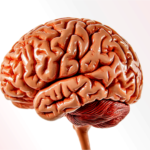 World Brain Day 2026, Small Daily Habits That Can Help Protect Your Brain