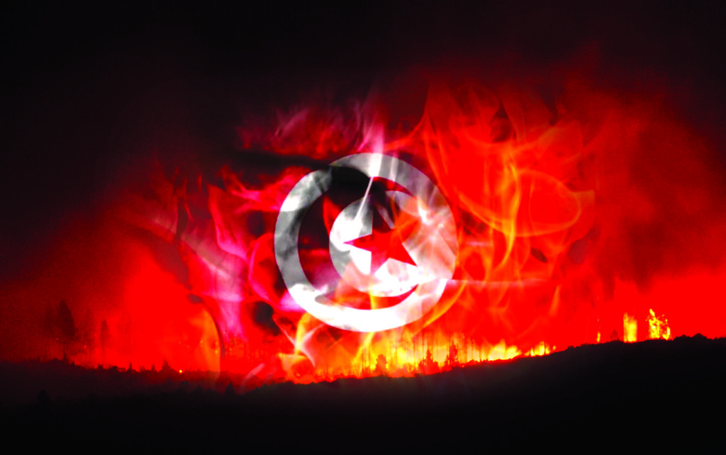 @##algwildfires0