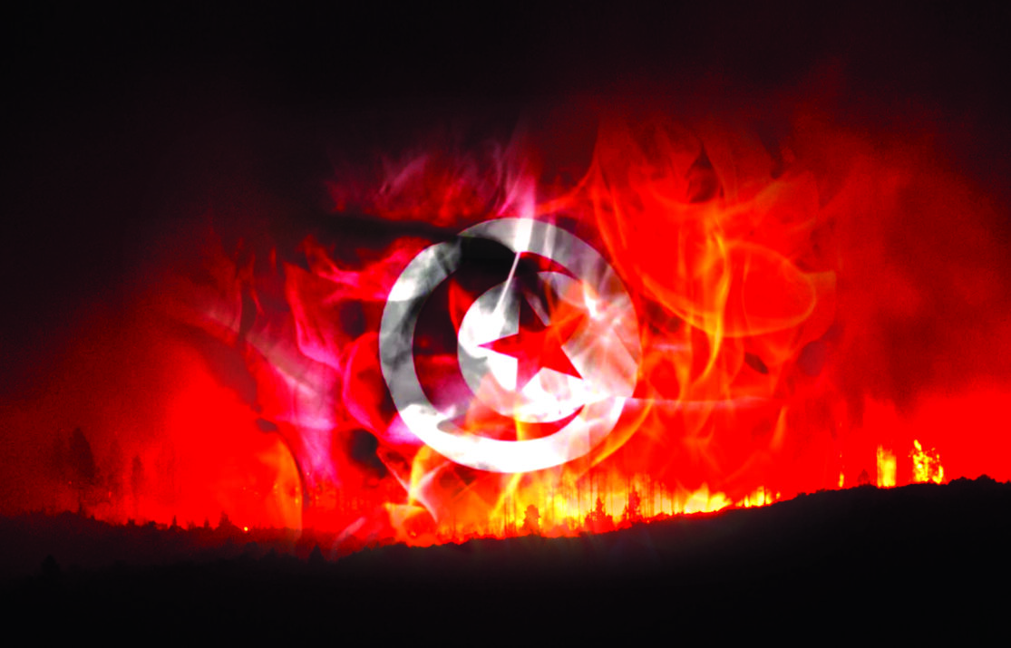 Algeria’s Deadly Heatwave Wildfires Expose Growing Climate and Social Risks