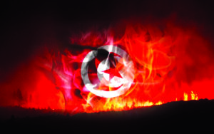 @##algwildfires0