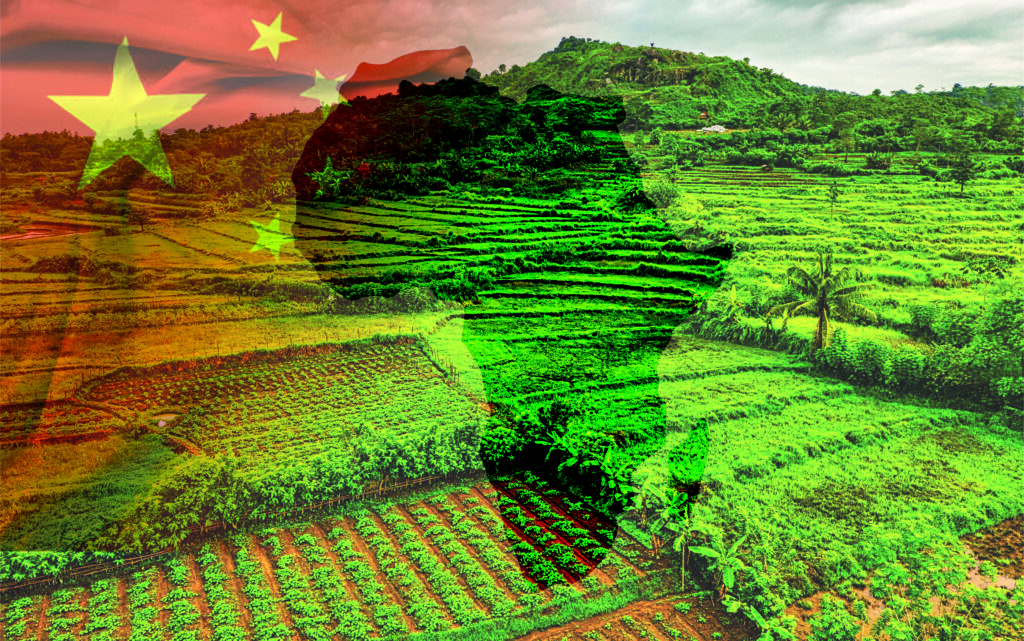 ##chinafarmland0