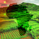 China’s Expanding Farmland Footprint Across Africa