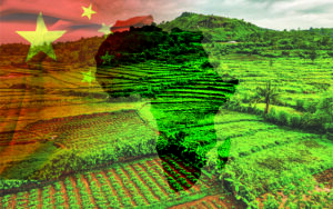##chinafarmland0