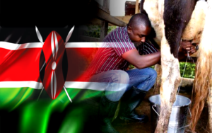 ##kenyamilk0