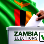 Zambia’s Democracy on Trial? Inside the Brian Mundubile Electoral Crisis