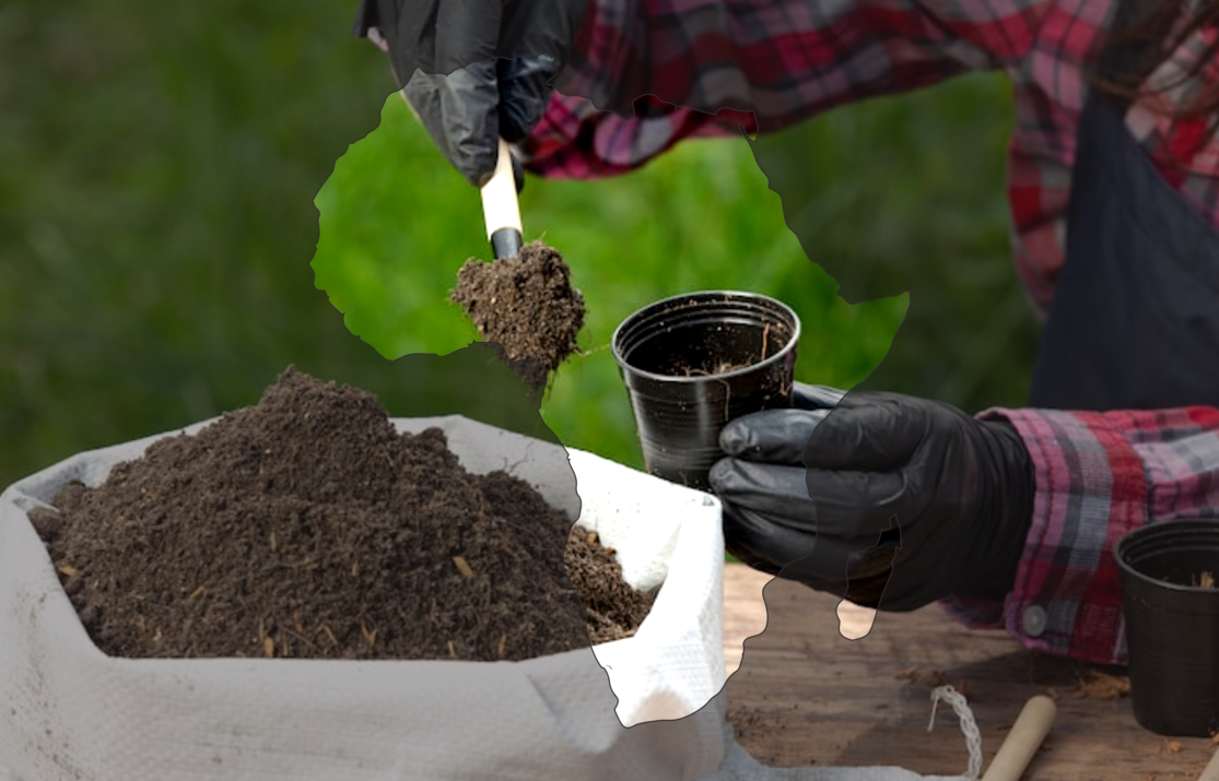 Fertilizer Scarcity Threatens Africa’s Socioeconomy, Governments and Agrobusiness