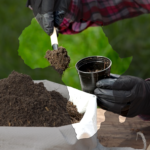 Fertilizer Scarcity Threatens Africa’s Socioeconomy, Governments and Agrobusiness