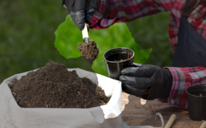 @##fertilizerscarcity0