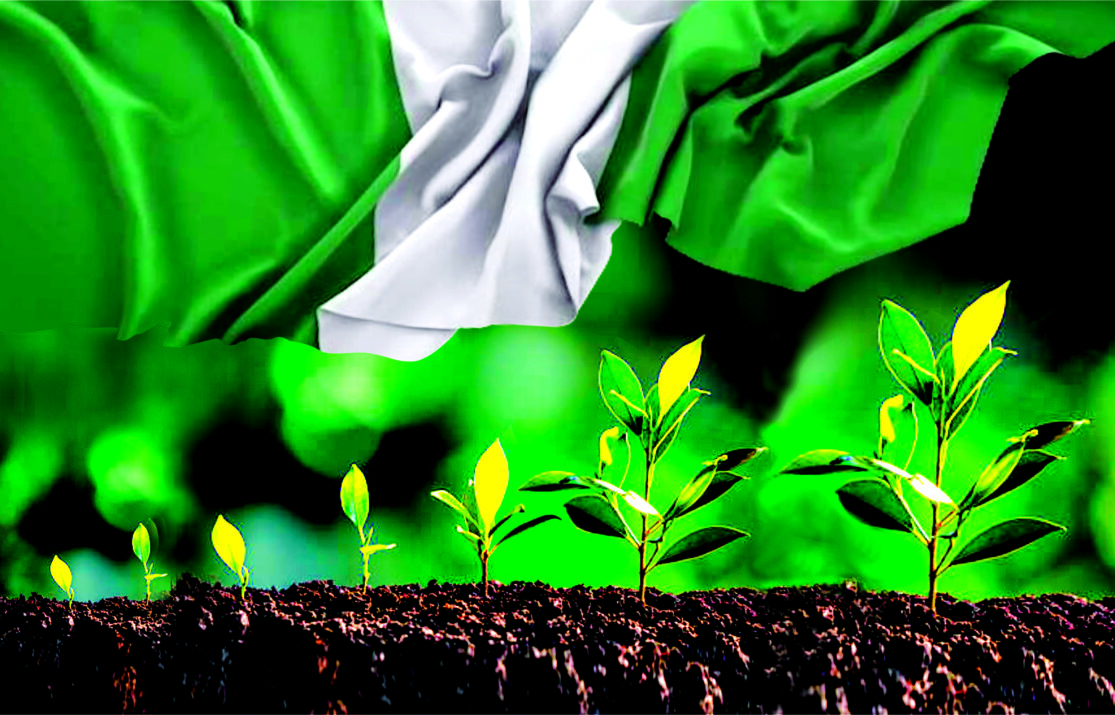 Nigeria’s 7% Growth Dream: The Productivity Challenge Behind the Numbers