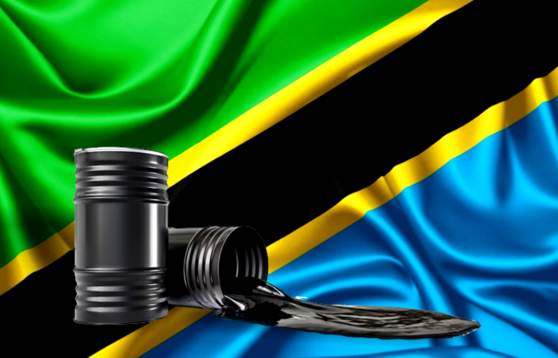 Tanzania’s New Gas Discovery Raises Hopes for Energy Security and Economic Growth