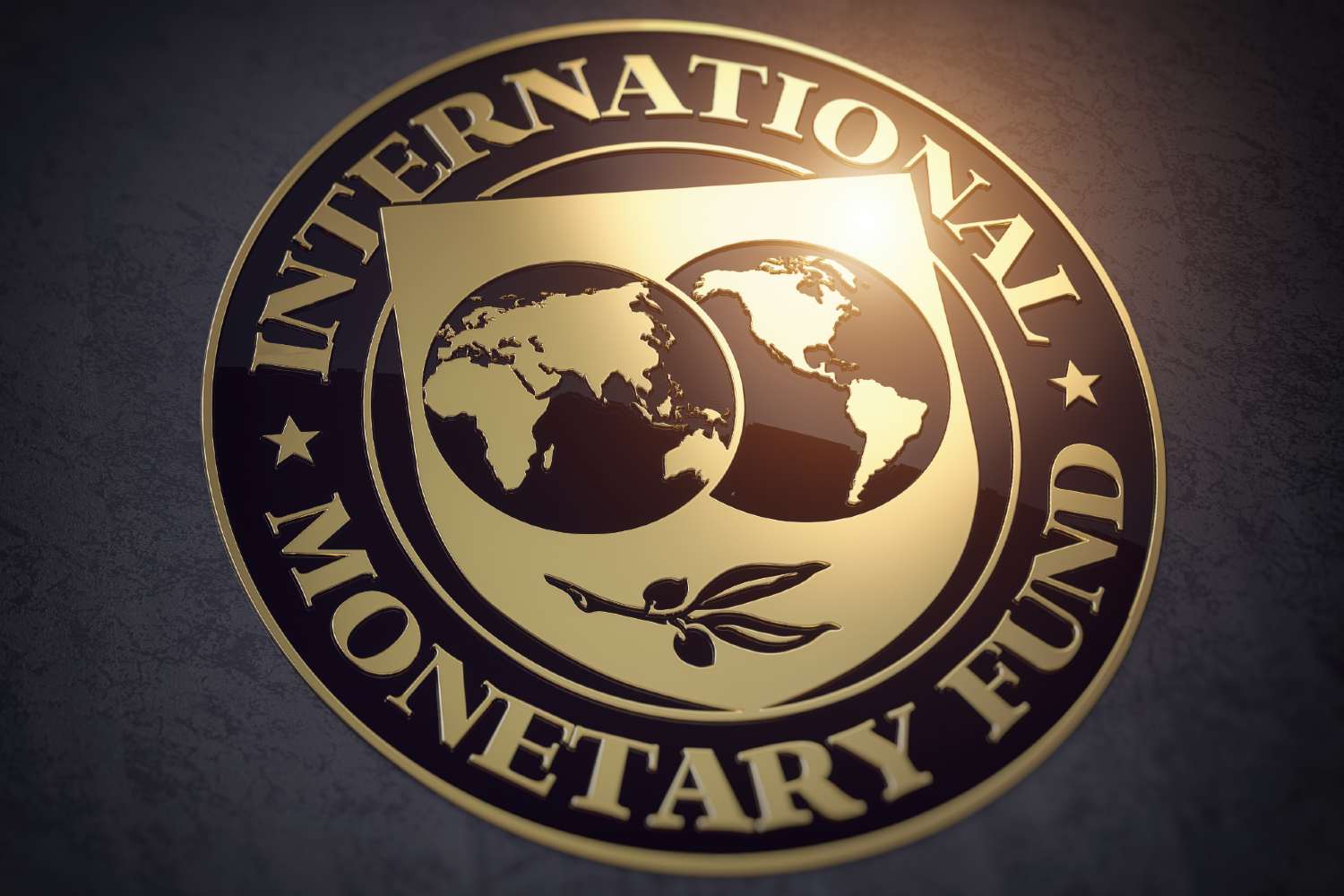 Read more about the article IMF: Nigeria, Tanzania, and Cameroon… 10 least indebted African countries