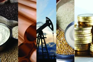 Read more about the article Top 10 agro-commodities exported by Nigeria in 2022
